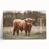 Farmhouse Wall Art: Highland Cow in Field - Rustic Country Decor