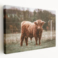 Farmhouse Wall Art: Highland Cow in Field - Rustic Country Decor
