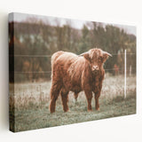 Farmhouse Wall Art: Highland Cow in Field - Rustic Country Decor