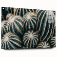 Farmhouse Wall Art: Cactus Close-Up - Rustic Desert Country Decor
