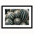 Farmhouse Wall Art: Cactus Close-Up - Rustic Desert Country Decor