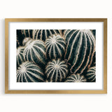 Farmhouse Wall Art: Cactus Close-Up - Rustic Desert Country Decor