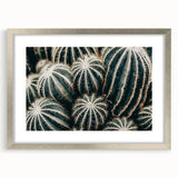 Farmhouse Wall Art: Cactus Close-Up - Rustic Desert Country Decor