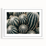 Farmhouse Wall Art: Cactus Close-Up - Rustic Desert Country Decor