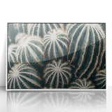 Farmhouse Wall Art: Cactus Close-Up - Rustic Desert Country Decor