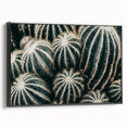 Farmhouse Wall Art: Cactus Close-Up - Rustic Desert Country Decor