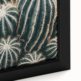 Farmhouse Wall Art: Cactus Close-Up - Rustic Desert Country Decor
