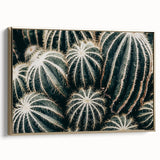 Farmhouse Wall Art: Cactus Close-Up - Rustic Desert Country Decor