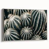 Farmhouse Wall Art: Cactus Close-Up - Rustic Desert Country Decor