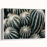 Farmhouse Wall Art: Cactus Close-Up - Rustic Desert Country Decor