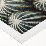 Farmhouse Wall Art: Cactus Close-Up - Rustic Desert Country Decor
