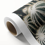 Farmhouse Wall Art: Cactus Close-Up - Rustic Desert Country Decor