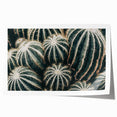 Farmhouse Wall Art: Cactus Close-Up - Rustic Desert Country Decor