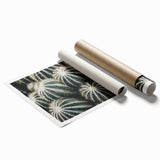 Farmhouse Wall Art: Cactus Close-Up - Rustic Desert Country Decor