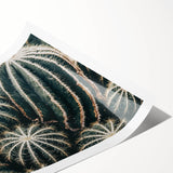 Farmhouse Wall Art: Cactus Close-Up - Rustic Desert Country Decor