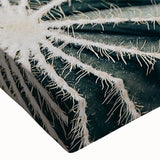 Farmhouse Wall Art: Cactus Close-Up - Rustic Desert Country Decor