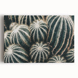 Farmhouse Wall Art: Cactus Close-Up - Rustic Desert Country Decor