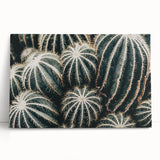 Farmhouse Wall Art: Cactus Close-Up - Rustic Desert Country Decor