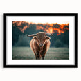 Farmhouse Wall Art: Highland Cow at Sunset - Rustic Country Decor