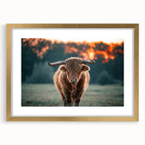 Farmhouse Wall Art: Highland Cow at Sunset - Rustic Country Decor