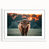 Farmhouse Wall Art: Highland Cow at Sunset - Rustic Country Decor