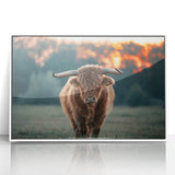 Farmhouse Wall Art: Highland Cow at Sunset - Rustic Country Decor