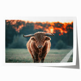 Farmhouse Wall Art: Highland Cow at Sunset - Rustic Country Decor