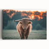 Farmhouse Wall Art: Highland Cow at Sunset - Rustic Country Decor