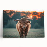 Farmhouse Wall Art: Highland Cow at Sunset - Rustic Country Decor