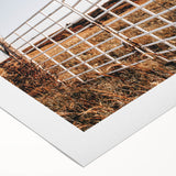 Farmhouse Wall Art: Rustic Gate and Fence - Country Style Decor