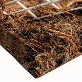 Farmhouse Wall Art: Rustic Gate and Fence - Country Style Decor