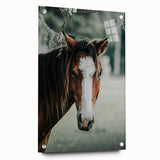 Farmhouse Wall Art - Rustic Horse Portrait Country Style Decor Print
