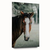 Farmhouse Wall Art - Rustic Horse Portrait Country Style Decor Print