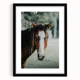 Farmhouse Wall Art - Rustic Horse Portrait Country Style Decor Print