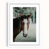 Farmhouse Wall Art - Rustic Horse Portrait Country Style Decor Print