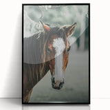 Farmhouse Wall Art - Rustic Horse Portrait Country Style Decor Print