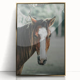 Farmhouse Wall Art - Rustic Horse Portrait Country Style Decor Print