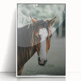 Farmhouse Wall Art - Rustic Horse Portrait Country Style Decor Print