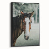Farmhouse Wall Art - Rustic Horse Portrait Country Style Decor Print