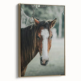Farmhouse Wall Art - Rustic Horse Portrait Country Style Decor Print