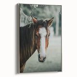 Farmhouse Wall Art - Rustic Horse Portrait Country Style Decor Print
