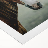 Farmhouse Wall Art - Rustic Horse Portrait Country Style Decor Print