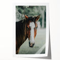 Farmhouse Wall Art - Rustic Horse Portrait Country Style Decor Print