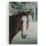Farmhouse Wall Art - Rustic Horse Portrait Country Style Decor Print