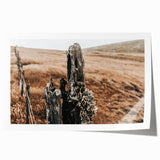 Farmhouse Wall Art: Weathered Fence Post - Rustic Country Decor