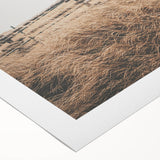 Farmhouse Wall Art: Rustic Fence & Field - Country Style Decor