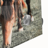 Farmhouse Wall Art: Horses Grazing in Field - Rustic Country Decor