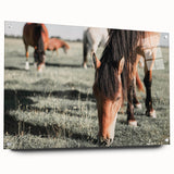 Farmhouse Wall Art: Horses Grazing in Field - Rustic Country Decor