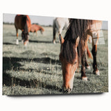 Farmhouse Wall Art: Horses Grazing in Field - Rustic Country Decor
