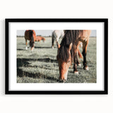 Farmhouse Wall Art: Horses Grazing in Field - Rustic Country Decor